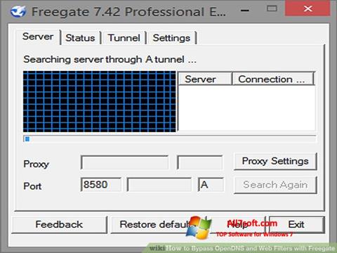 截图 Freegate Windows 7