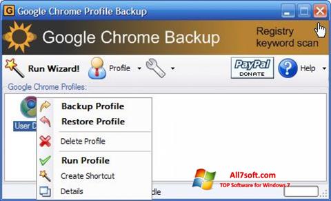 截图 Google Chrome Backup Windows 7